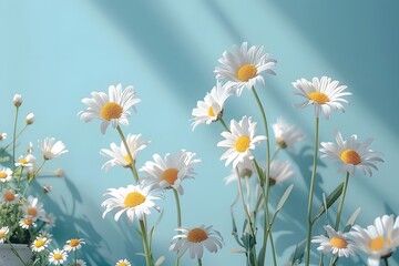 Canvas Print - Bright and Cheerful Daisies Against a Soft Blue Background