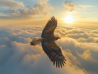 Wall Mural - Bird Flying Above Clouds at Sunset