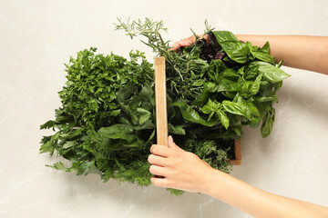 Poster - Woman holding different fresh herbs in wooden basket at light table, top view