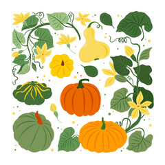 Wall Mural - vector seamless pattern with pumpkin, flowers, oak and maple leaves on white background. perfect for