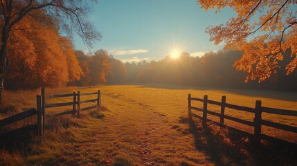 Poster - Bright sunlight breaks through the trees, casting a warm glow over an open field surrounded by vibrant autumn foliage and a rustic wooden fence.