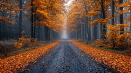 Poster - A winding dirt road surrounded by tall trees features bright orange leaves scattered on the ground. The surrounding mist creates a serene autumn atmosphere.