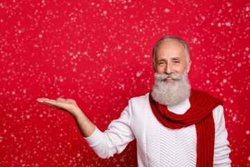 Wall Mural - Portrait of his he nice attractive handsome well-groomed fashionable cheerful cheery gray-haired man holding copy space on palm isolated over bright vivid shine red background