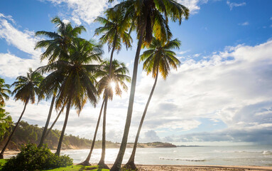 Wall Mural - Tropical beach