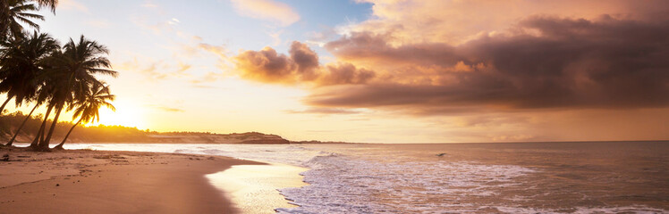 Wall Mural - Tropical beach