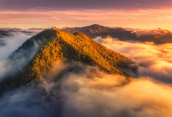 Wall Mural - aerial view of mountain peak in low clouds at sunrise in autumn
