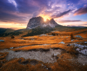 Wall Mural - mountains and orange alpine meadows at sunset in golden autumn. passo sella, dolomites, italy. color