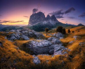 Wall Mural - mountains, orange grass and stones at beautiful sunset in autumn. passo sella, dolomites, italy. col