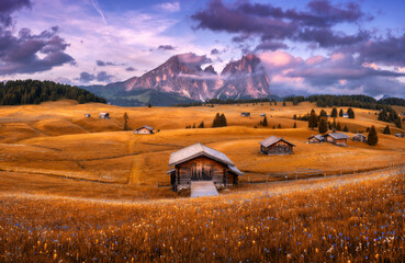 Wall Mural - amazing alpe di siusi at sunset in autumn. colorful landscape with alpine mountains in low clouds, w