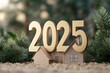 © 92ashrafsoomro - Wooden house model with text 2025 on a table, Real estate new year concept
