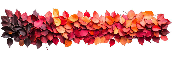 Wall Mural - A vibrant collection of autumn leaves arranged in a spectrum from deep burgundy to bright orange.