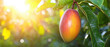 © N0X - A ripe mango hangs from a leafy branch, bathed in warm sunlight, symbolizing freshness and the essence of tropical fruits.