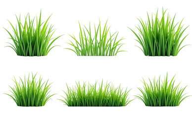 set of green grass png, Realistic green grass isolated on transparent background