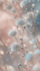 Poster - delicate white flowers in soft focus field, dreamy nature concept