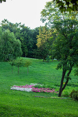 A peaceful park scene with a green meadow, flowerbed, and dense trees in the background. Soft evening light enhances the natural setting, with no people visible in the outdoor landscape.

