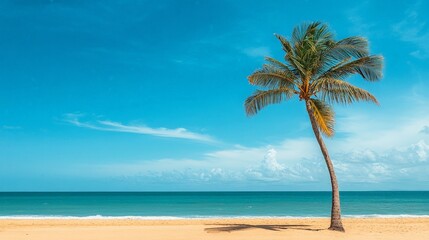 Canvas Print - A tall palm tree standing on a sandy beach, swaying gently in the breeze with a blue sky above