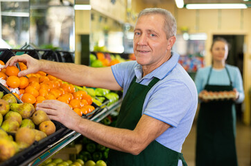 Skillful busy elderly salesman in apron laying out tangerines on shelves in grocery shop