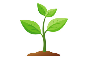 Young plant on vector art illustration