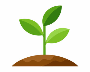 Poster - Illustration of a little plant seedling