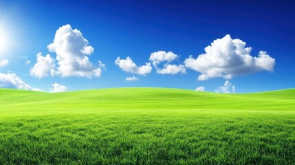 A vast green field stretches out under a blue sky with fluffy white clouds.