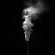 © vuang - Smoke billows from a chimney