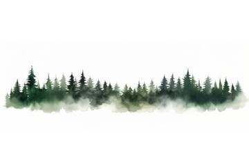 Wall Mural - Nature forest outdoors woodland.