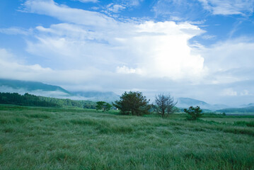 ＜長崎県五島市岐宿町山内＞朝霞