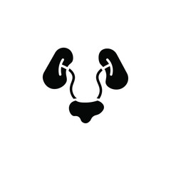 Poster - Urinary system icon web design in vector