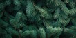 © HN Works - Background of Christmas fir tree branches. Wallpaper of Christmas pine tree. Copyspace. Banner.
