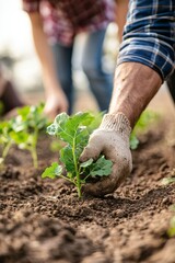 Wall Mural - Investigate how community gardens can enhance sustainable living. Discuss the benefits of growing food locally and fostering