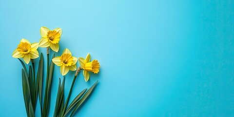 Poster - daffodil flowers. Spring theme with copyspace