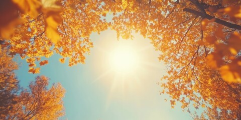 Fototapete - Autumn foliage at the treetops in a fall forest. Sunlight and sky seen through the branches of autumn trees. Autumn backdrop. Copy space. Soft focus.