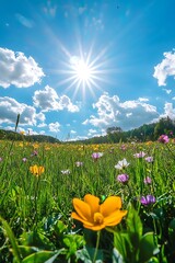Poster - A vibrant meadow filled with colorful flowers under a bright sun and scattered clouds, creating a serene and lively spring scene.