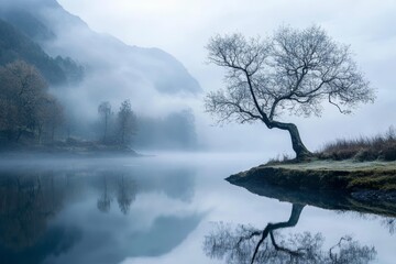 Wall Mural - a lone tree stands on the shore of a misty lake, its reflection mirrored in the still water.