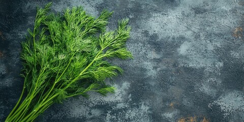 Poster - A bunch of fresh dill on a weathered rustic background. Top view, flat lay, copyspace.