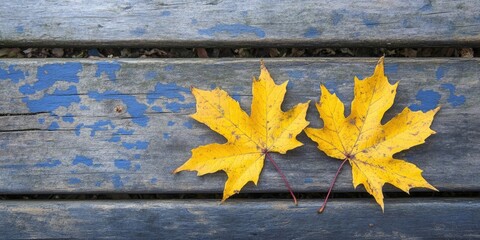 Poster - Autumn still life featuring yellow maple leaves on a wooden surface.