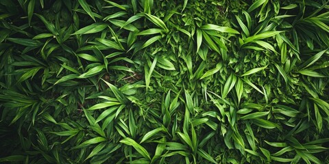 Aufkleber - the green grass on the ground