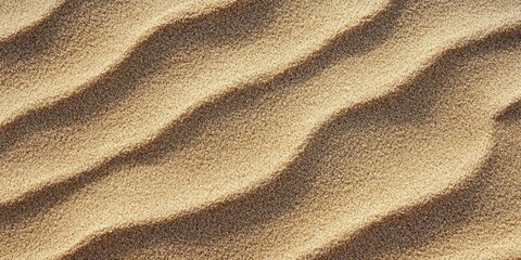 Fototapete - beach sand as a background texture