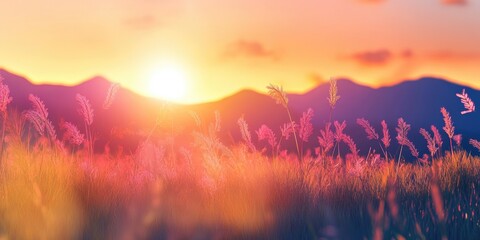Poster - Panoramic view of a sunset behind mountains on a tropical grassland. Artistic transparent wild grass in full bloom. Abstract design with shadows and sun rays, featuring lens flare.