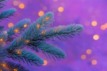 Christmas lights illuminating frost covered pine branches against a festive purple background