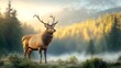 © tuiphotoengineer - Majestic stag with large antlers standing in a misty forest clearing at dawn with shafts of light breaking through the trees creating a dramatic and enchanting scene
