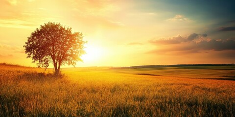 Poster - beautiful landscape at sunset - copyspace for various uses