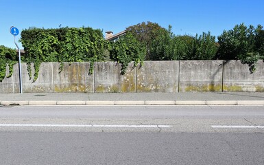 Wall Mural - House fence made of prefab concrete block wall. Plant and trees behind, sidewalk and street in front. Pedestrian and bicycle lane sign on the left. Background for copy space.