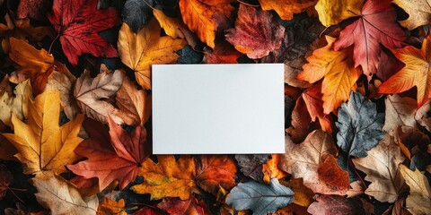 Poster - Blank card surrounded by colorful autumn leaves. Concept of Thanksgiving, Halloween, or harvest. Invitation greeting card.