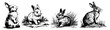 © Luka - collection of rabbit sketches, silhouette line art – hand-drawn vector