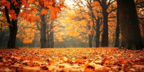 Aufkleber - Autumn forest trees with numerous fallen leaves.