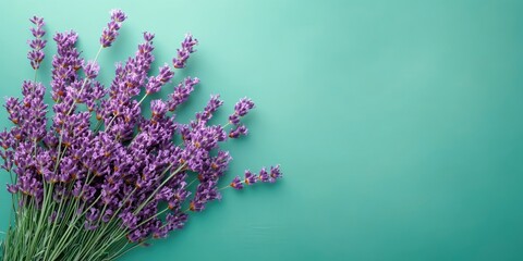 Poster - Bouquet of lavender flowers on a green background. Copy space, top view. Summer background.