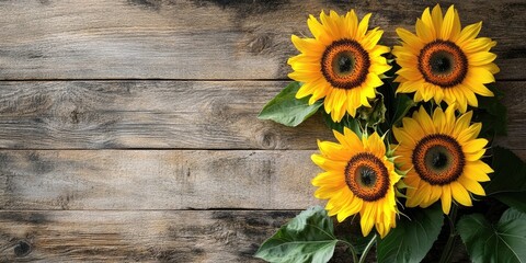 Poster - Sunflowers on a wooden surface, copy space.