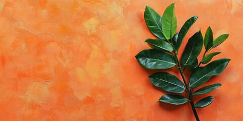 Aufkleber - Zuzu plant, or Zamioculcas zamiifolia, with its fresh stem and green leaves set against a vibrant orange textured background. Blank for greeting card design. Copy space. Top view.