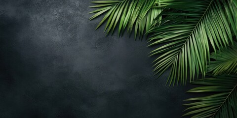 Leinwandbilder - A top view of a tropical palm leaves branch set against a dark gray background with copy space.